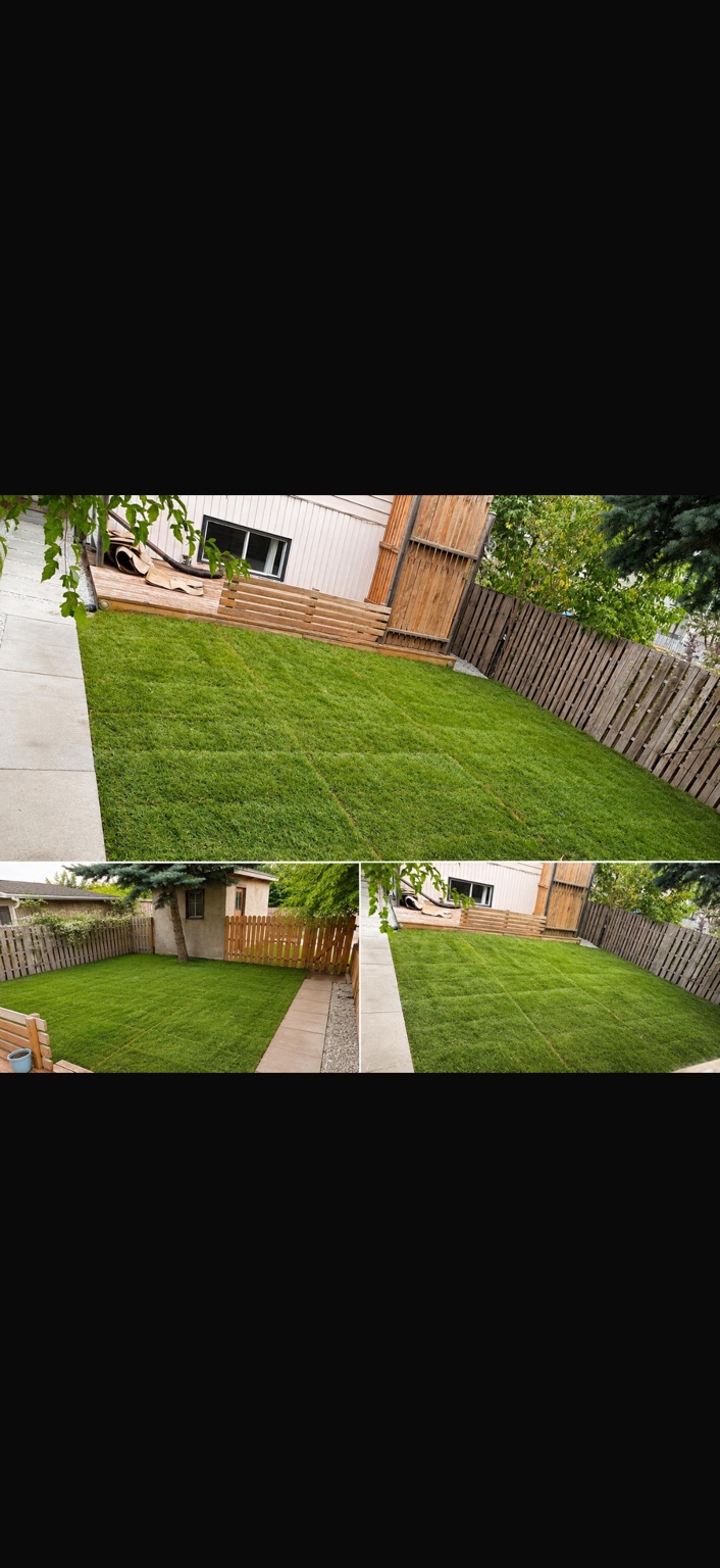 The same backyard with new green lawn and a tidy pathway